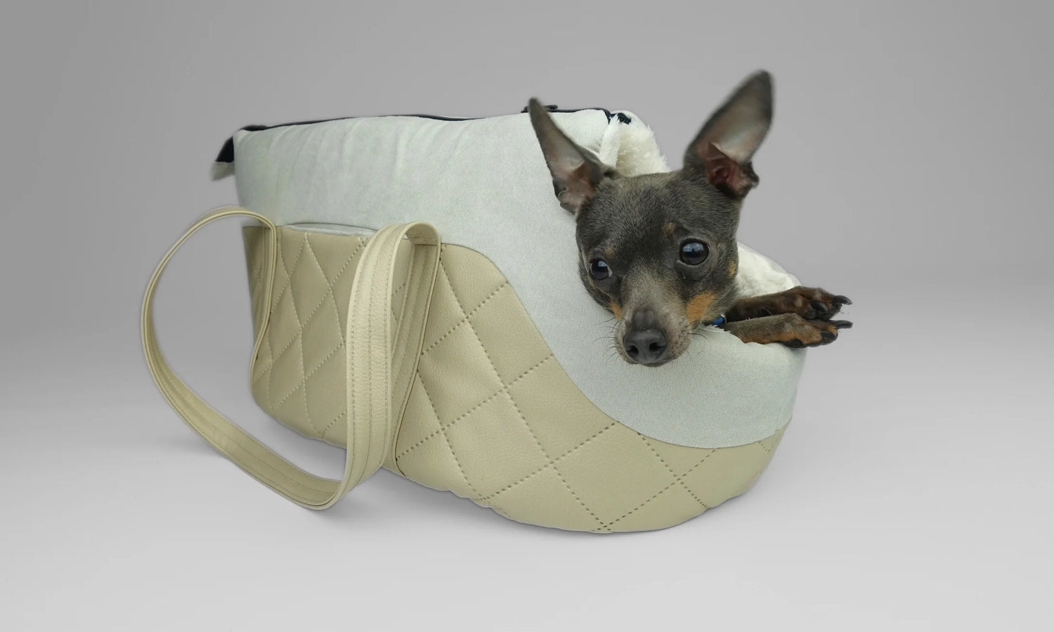 Elegant Carriers — Travel in Style