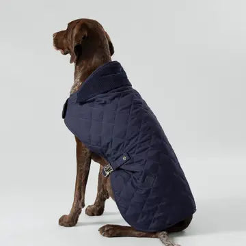 Seasonal Warmth — Stylish Dog Jackets & Coats