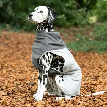 Everyday Essentials — Trusted Pet Accessories