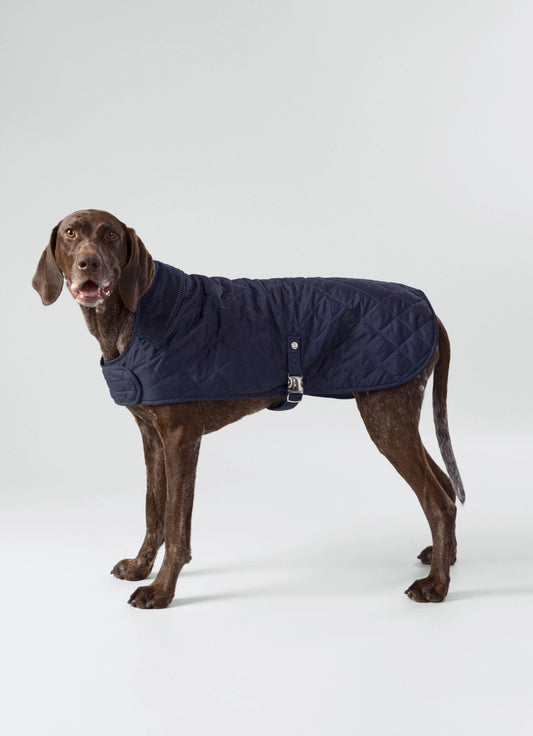 Quilted Dog Jacket | Navy