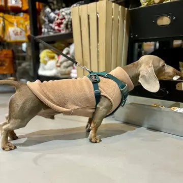 Dog Fleece Jumper | Dachshund