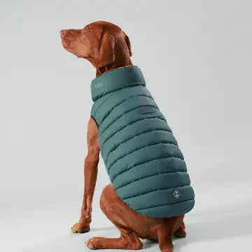 Dog Puffer Jacket | Forest Green & Gold