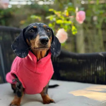 Dog Fleece Jumper | Dachshund