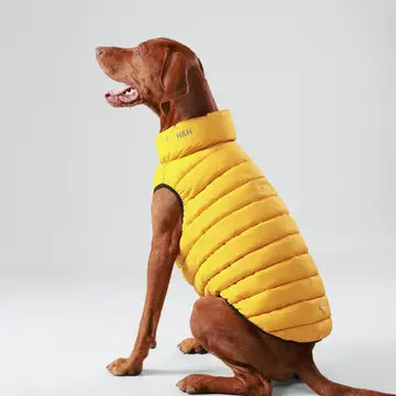 Dog Puffer Jacket | Forest Green & Gold