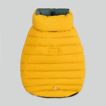 Dog Puffer Jacket | Forest Green & Gold