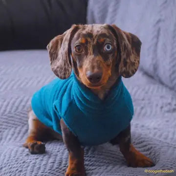 Dog Fleece Jumper | Dachshund