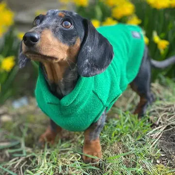 Dog Fleece Jumper | Dachshund