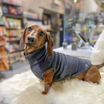 Dog Fleece Jumper | Dachshund