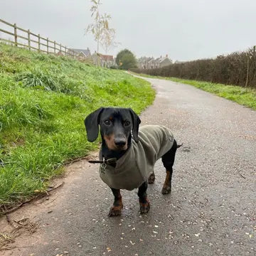 Dog Fleece Jumper | Dachshund