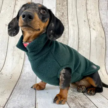 Dog Fleece Jumper | Dachshund