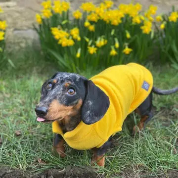 Dog Fleece Jumper | Dachshund