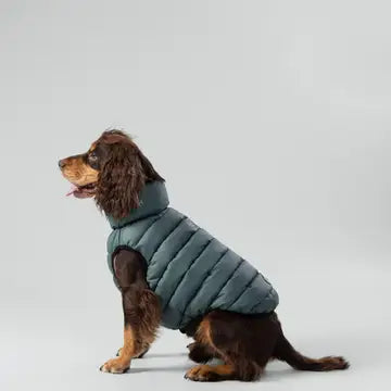 Dog Puffer Jacket | Forest Green & Gold