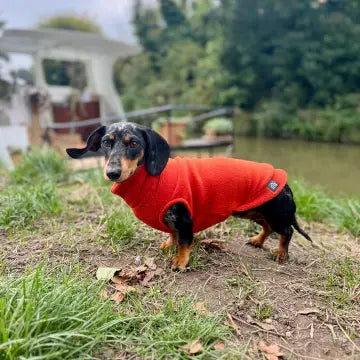 Dog Fleece Jumper | Dachshund