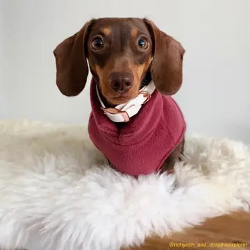 Dog Fleece Jumper | Dachshund